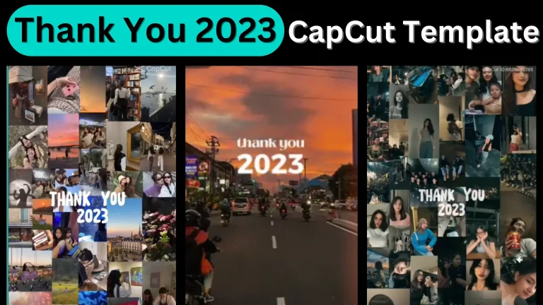 Thank You 2023 CapCut Template